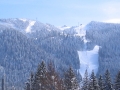 Poze Poiana Brasov | Imagini cu statiunea Poiana Brasov